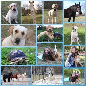 Meet your Posher, Kiley